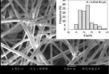 Fenofibrát-ciklodextrin szálas szerkezet pásztázó elektron-mikroszkópos felvétele, b) 1000x nagyítás