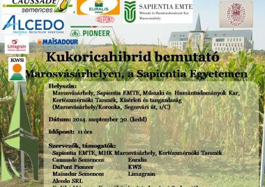 Kukoricahibrid bemutató 