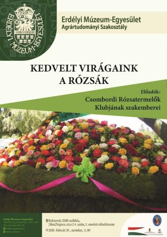 Kedvelt virágaink a rózsák